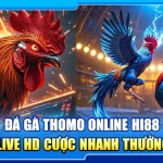 36.da ga thomo online hi88 – xem live hd cuoc nhanh thuong lon 1