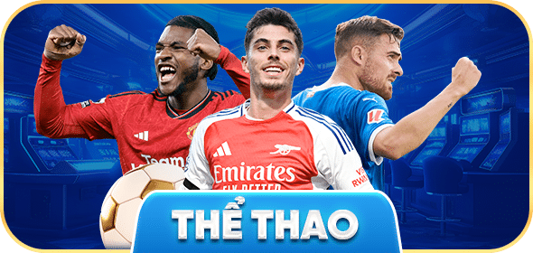 icon the thao 5